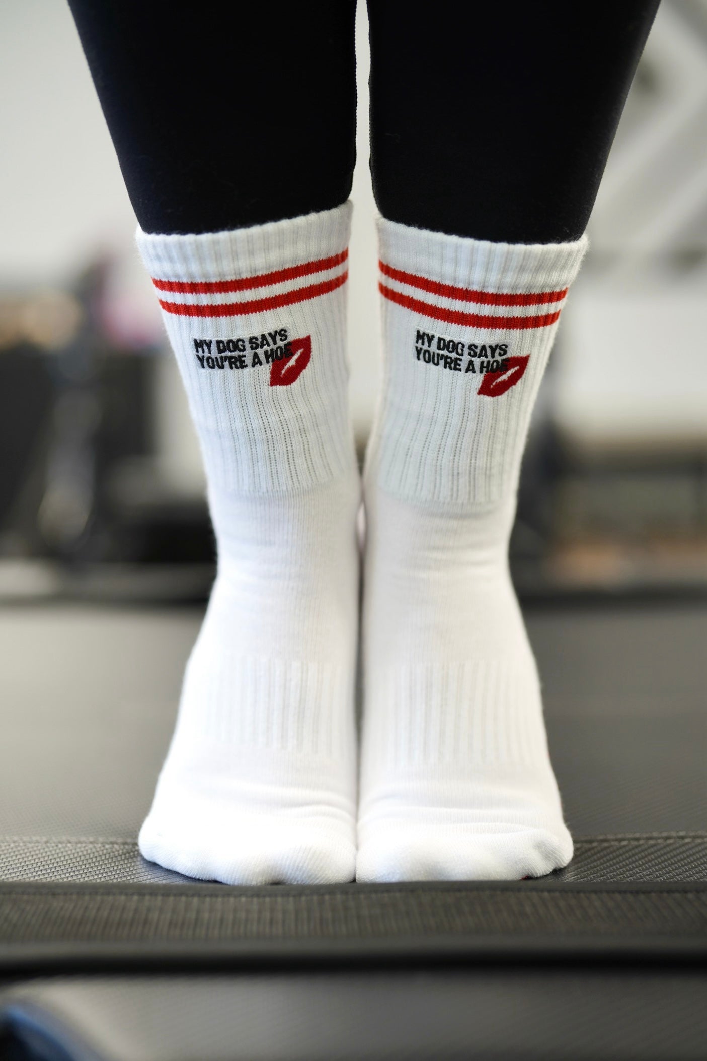 my dog says you're a hoe