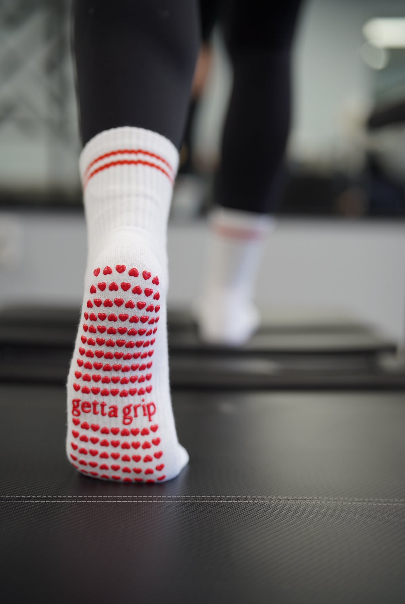 my dog says you're a hoe